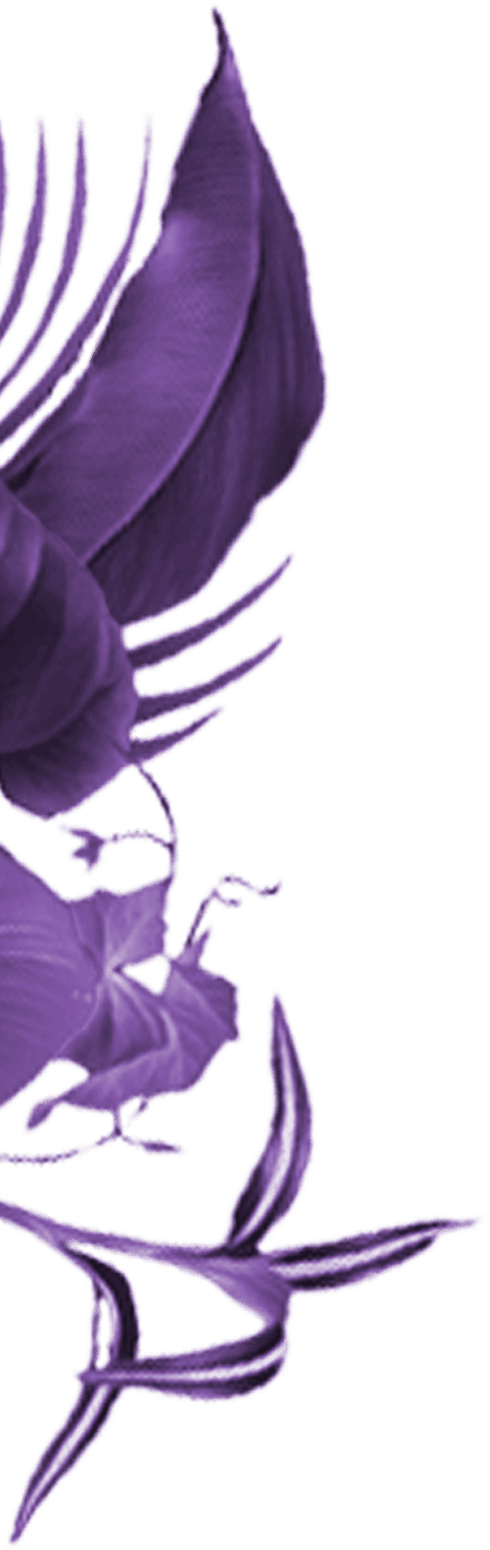 Left Leaf 3