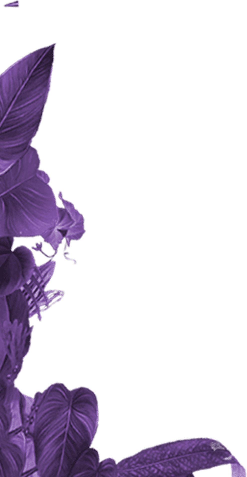 Left Leaf 4